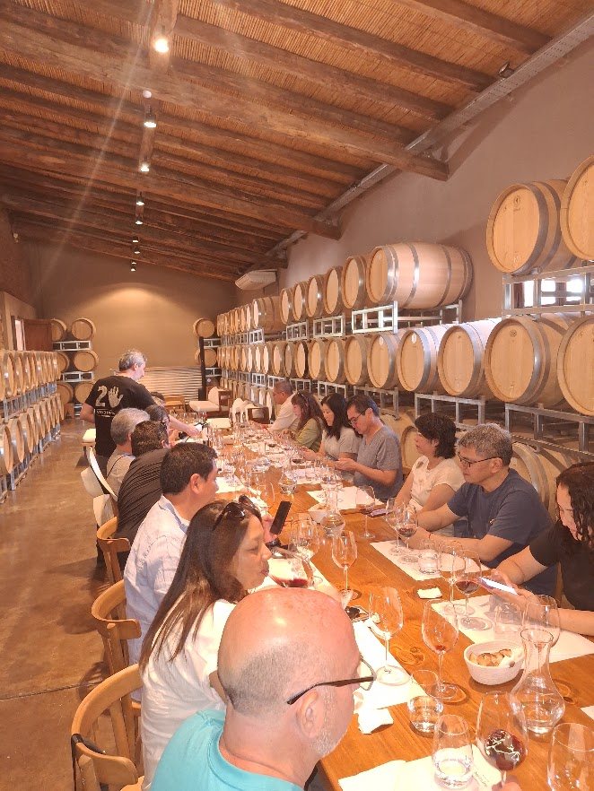 Degustación de vinos dentro de una bodega